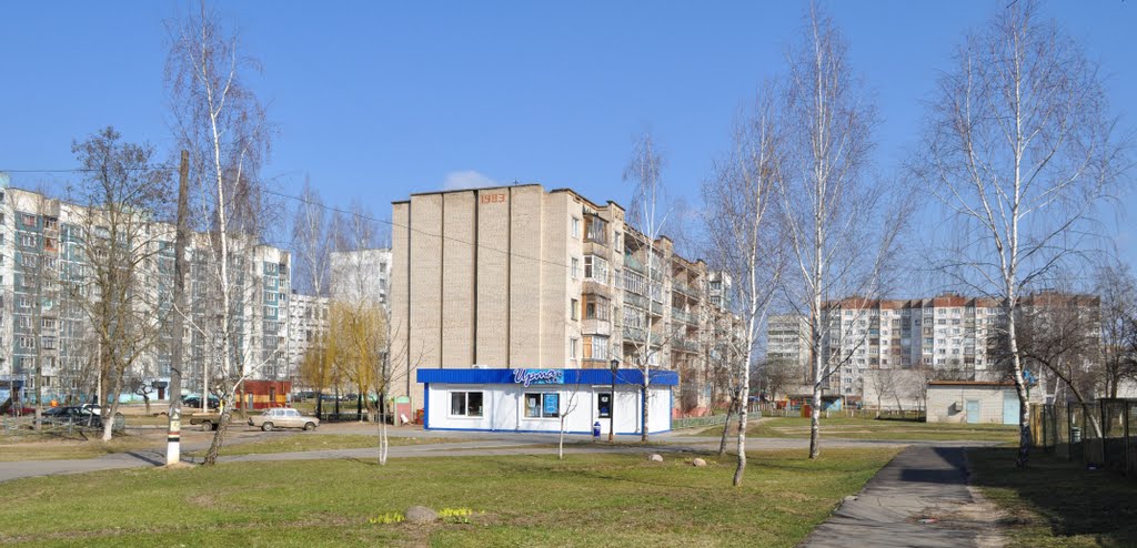 Рогачёв