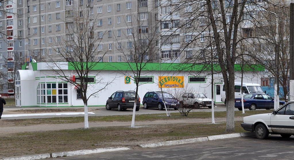 Рогачёв