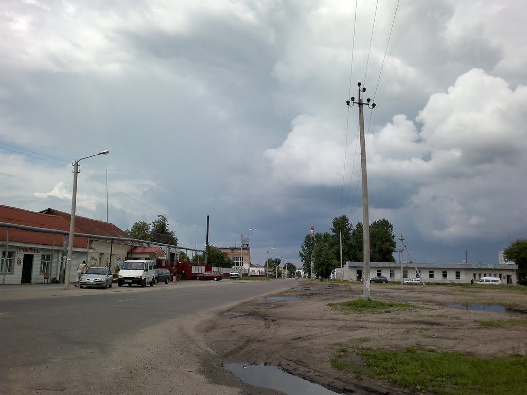 Рогачёв 6.07.2011