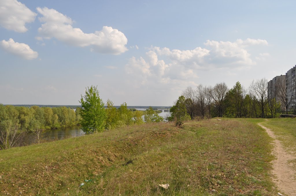 Проров