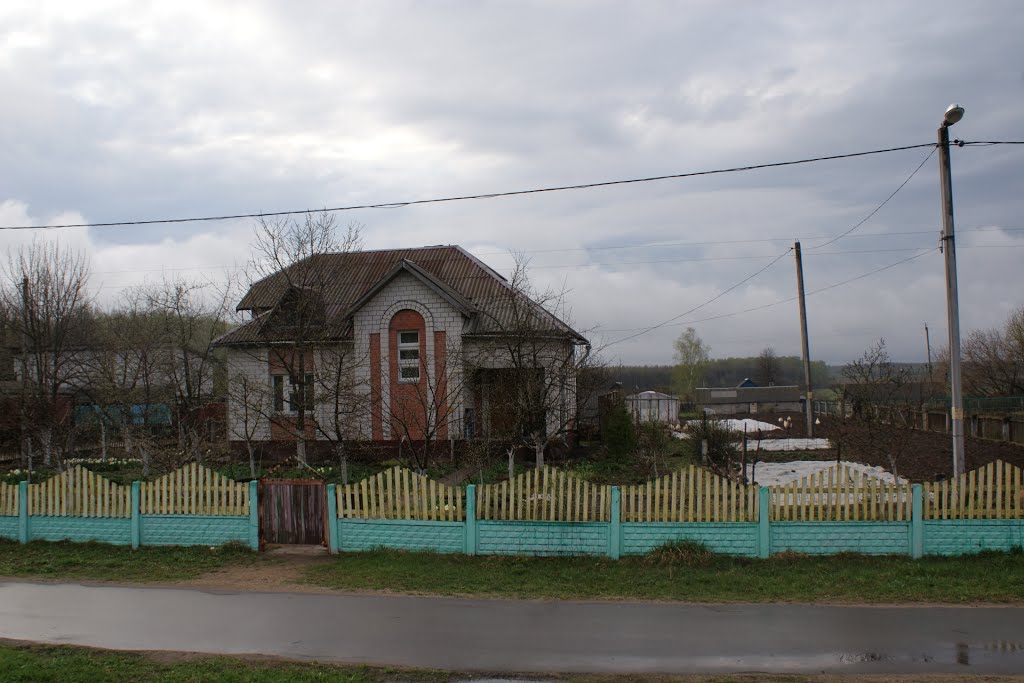 Рогачев
