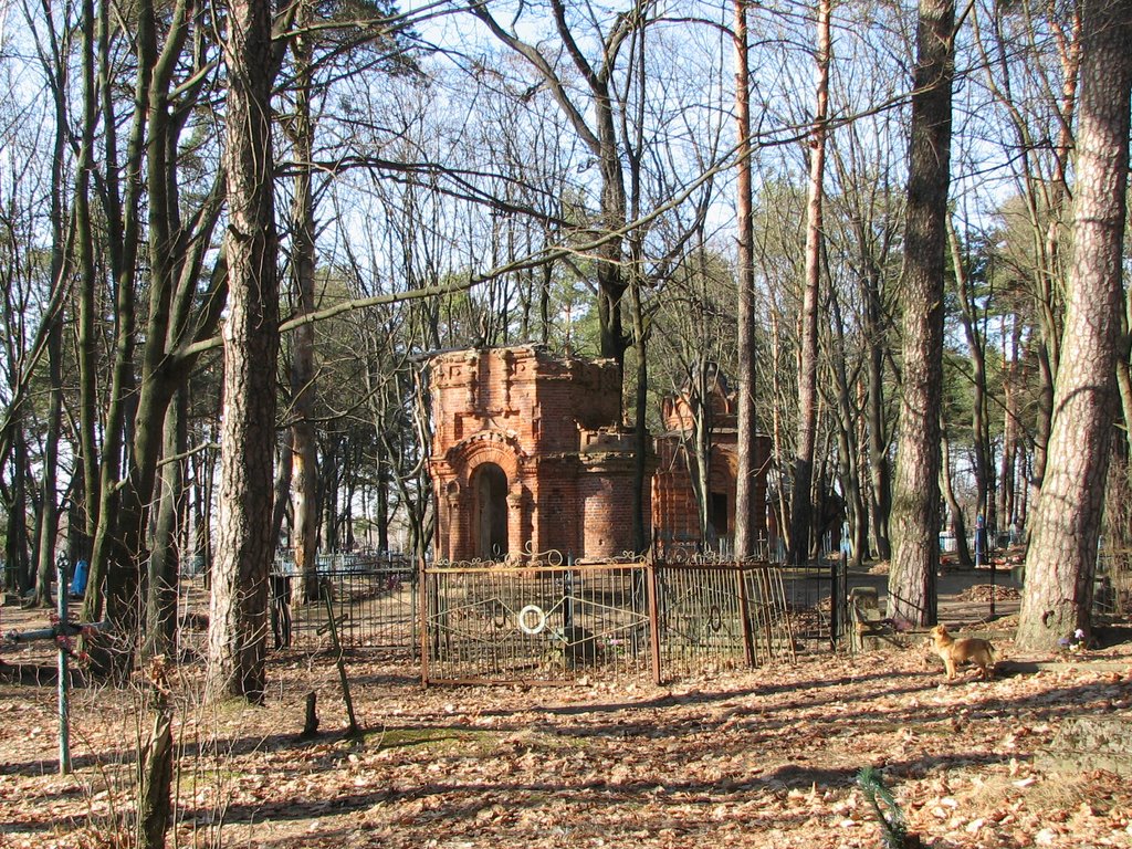 Old graveyard