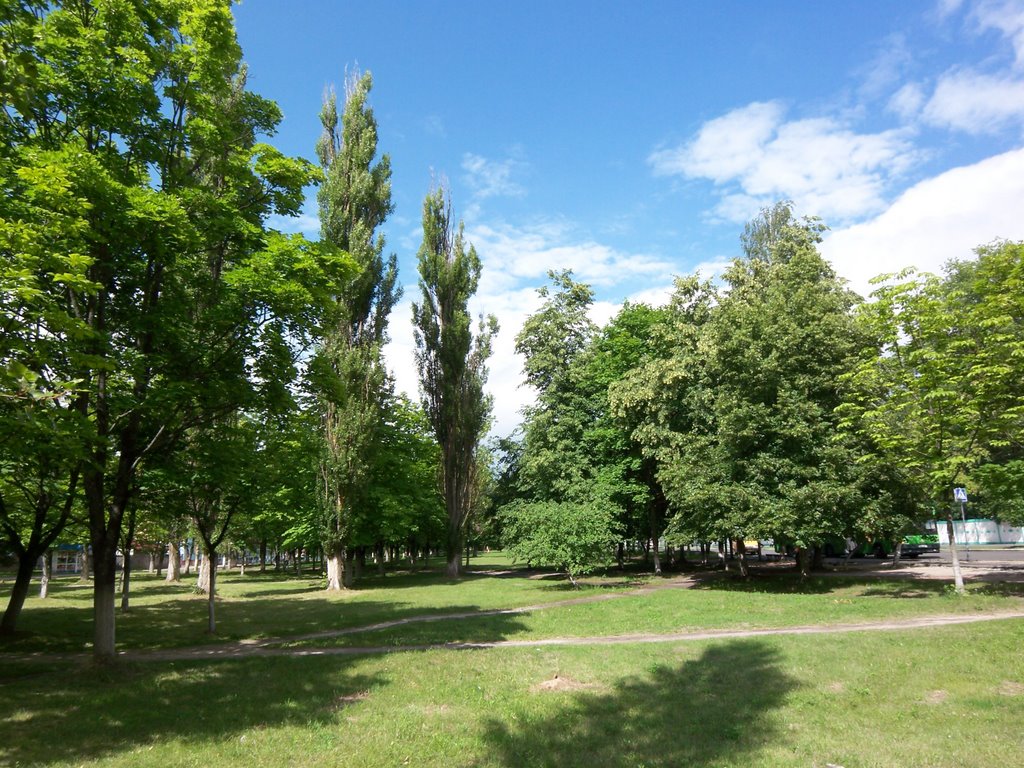 Park separating the districts