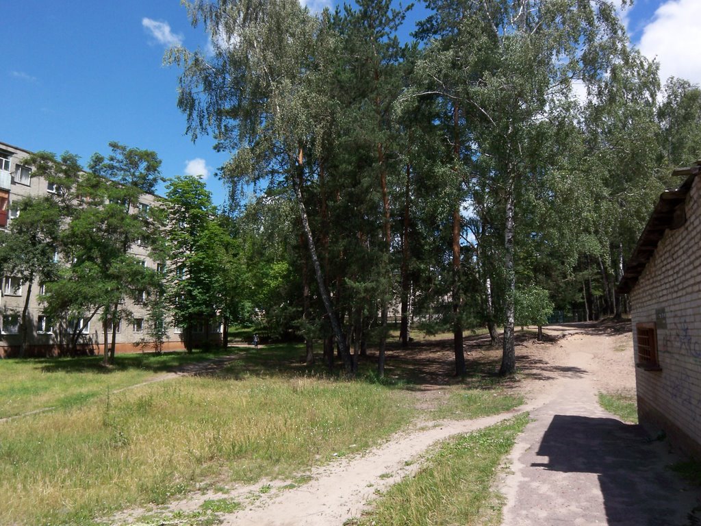 Small hill