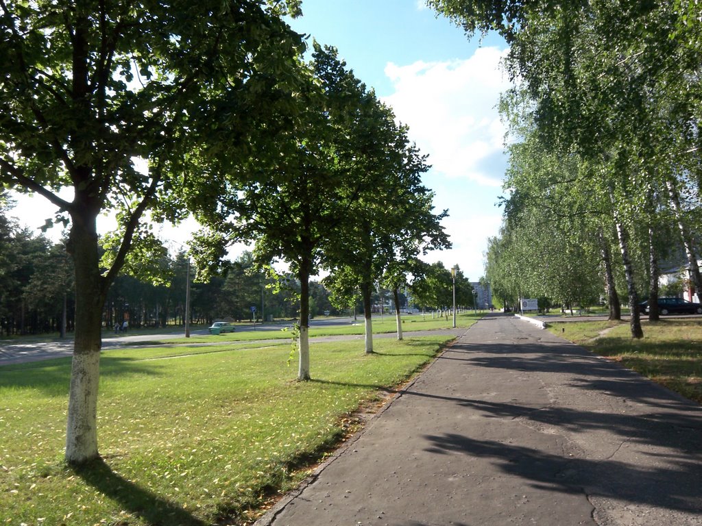 Street