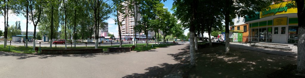Half-panorama