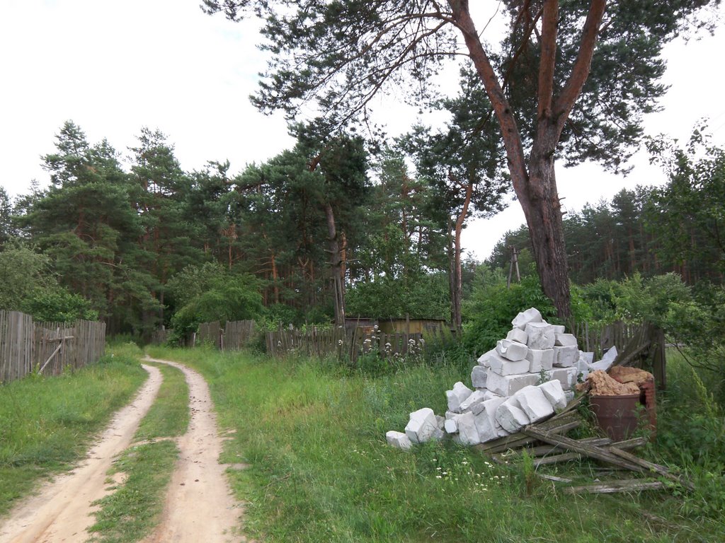 In the Settlement of Builders