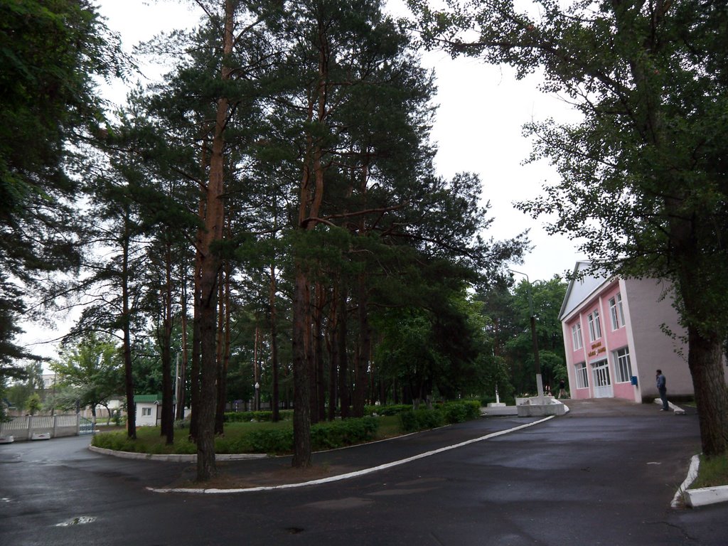 Hospital park