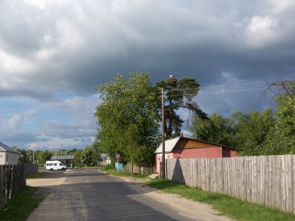 Stork on a tree