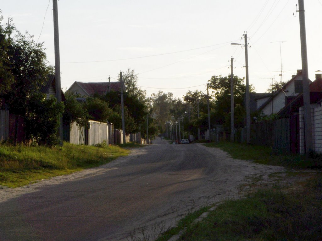 Street in Shacilky village