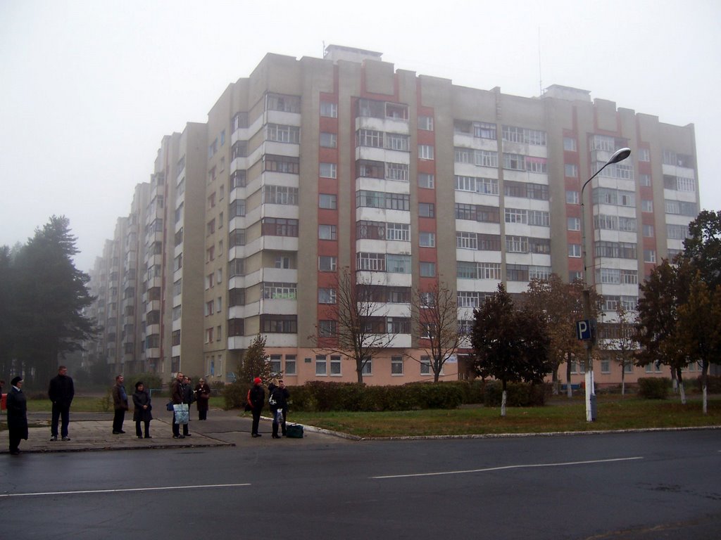 Apartments in morning mist