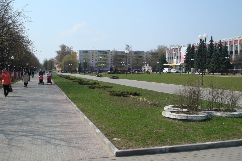 Svetlogorsk, Aleya geroev