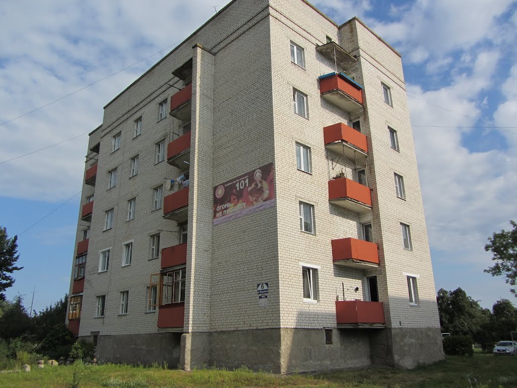 Мицкевича 6