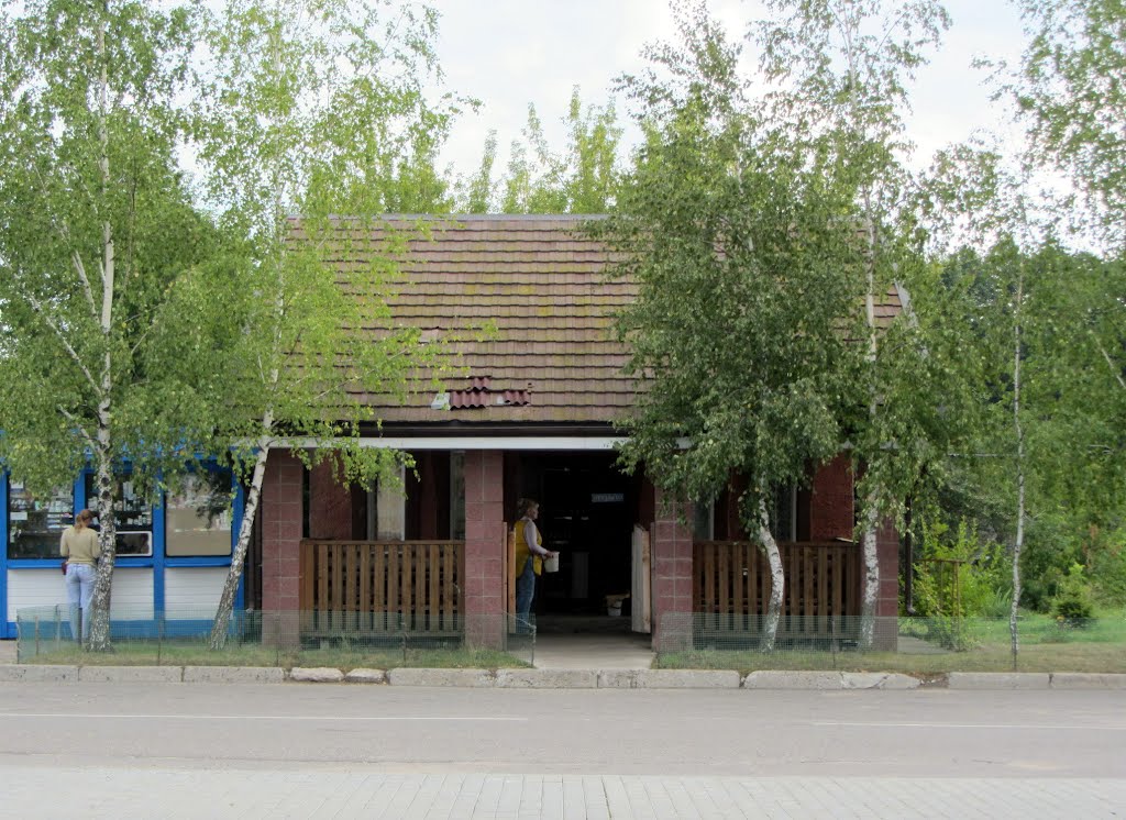 Дятлово
