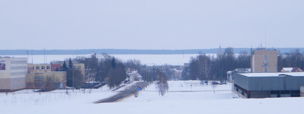Берестовица