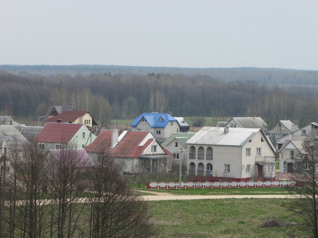 B.Berestovitsa