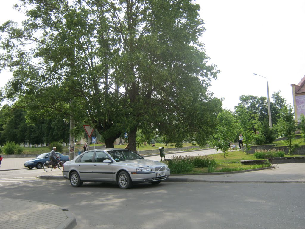 B.Berestovitsa