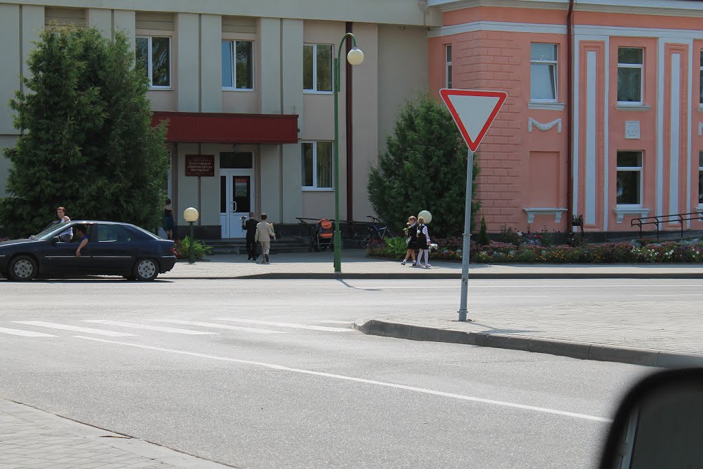 Берестовица