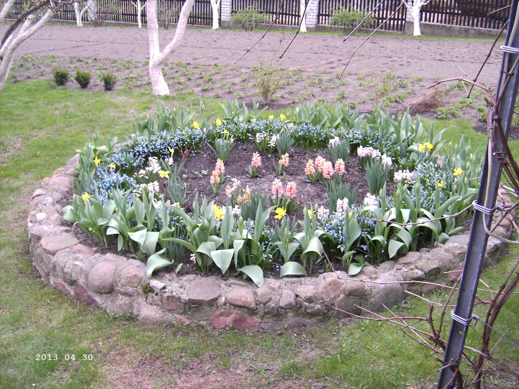 Der kleine Garten Mai 2013