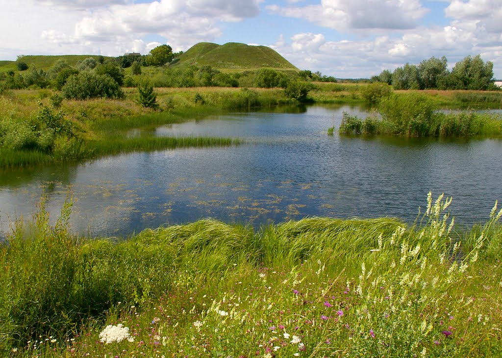 Шведская гора