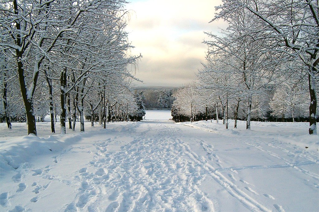 Аллея