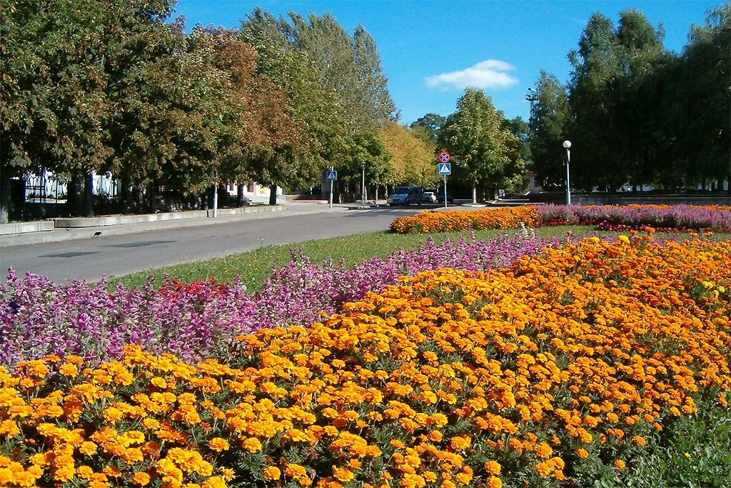 У входа в зоопарк