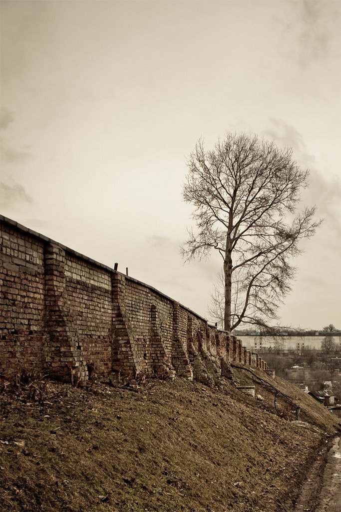 Cemetery Walls