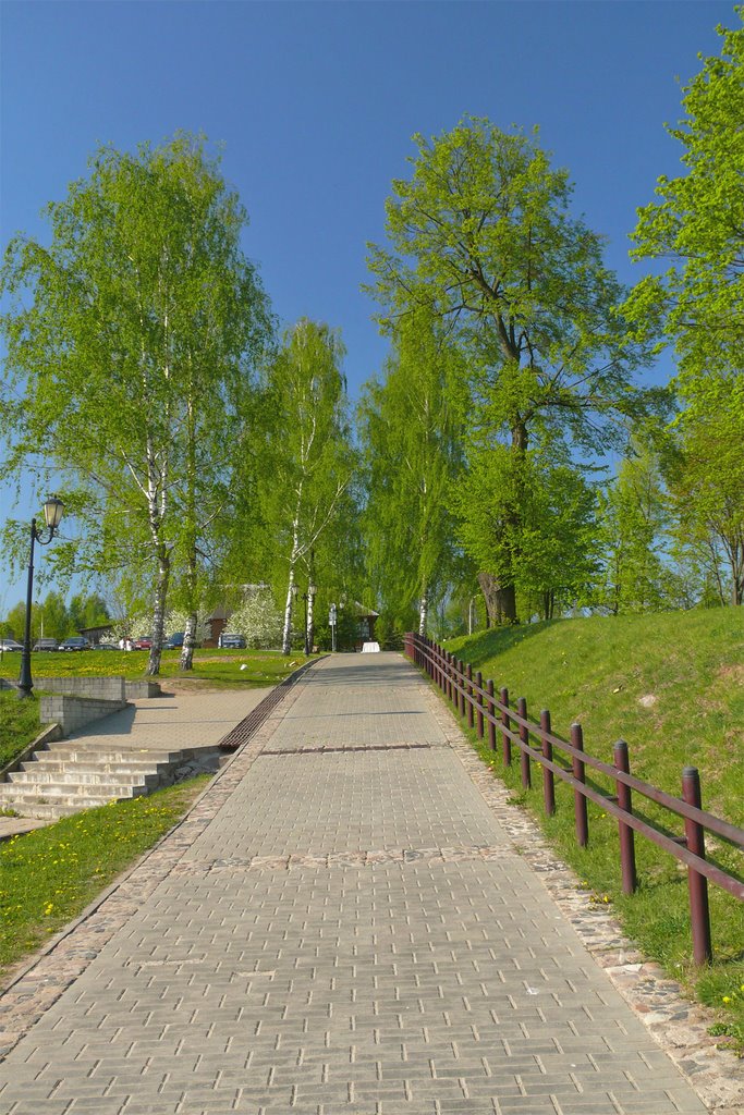 Дорожка