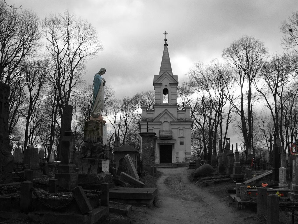 ....тишина. Католическое кладбище