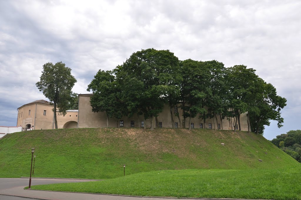 Гродно. Старый замок / Grodno. Old Castle