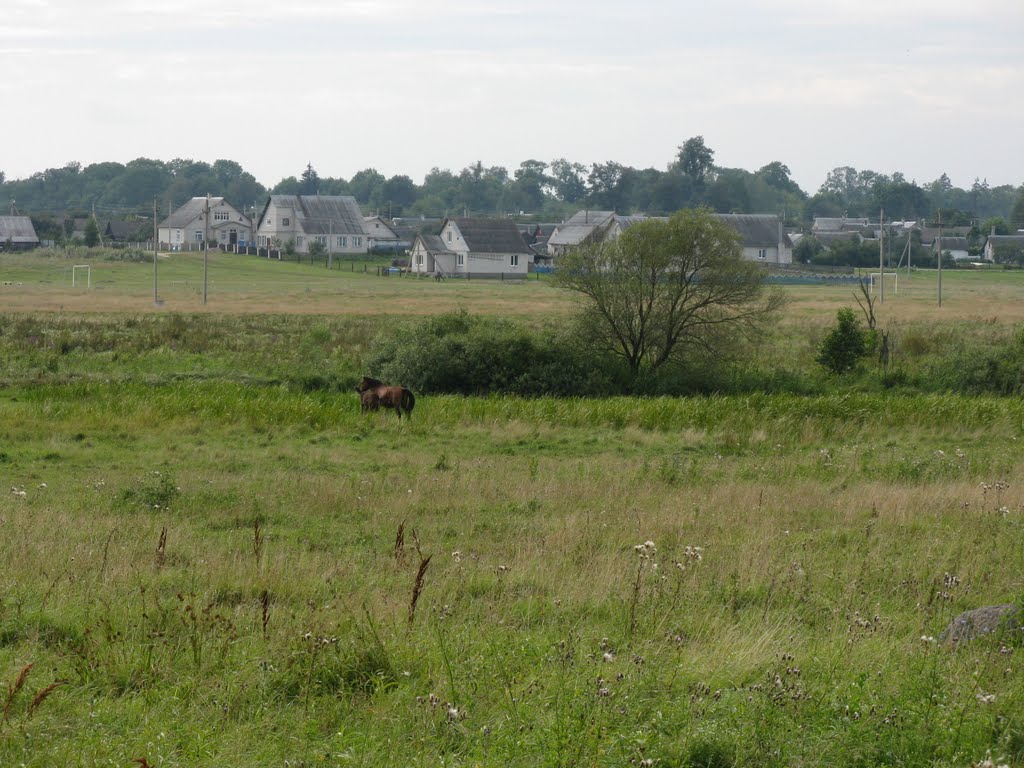 Field (from 70 let Oktyabrya street)