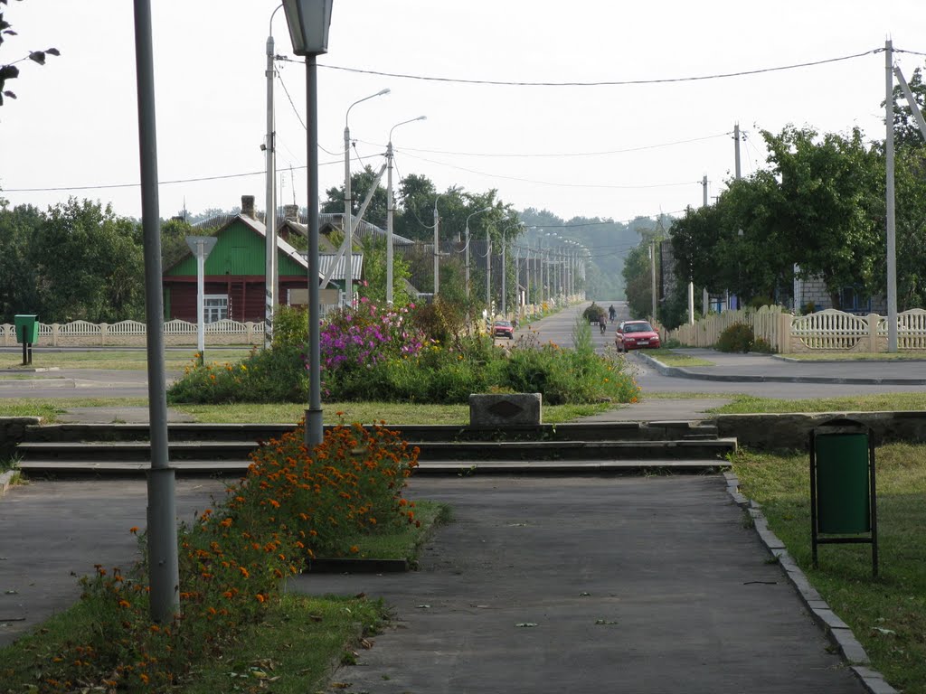 Zheludok park (view to Krasnopartizanskaya st))