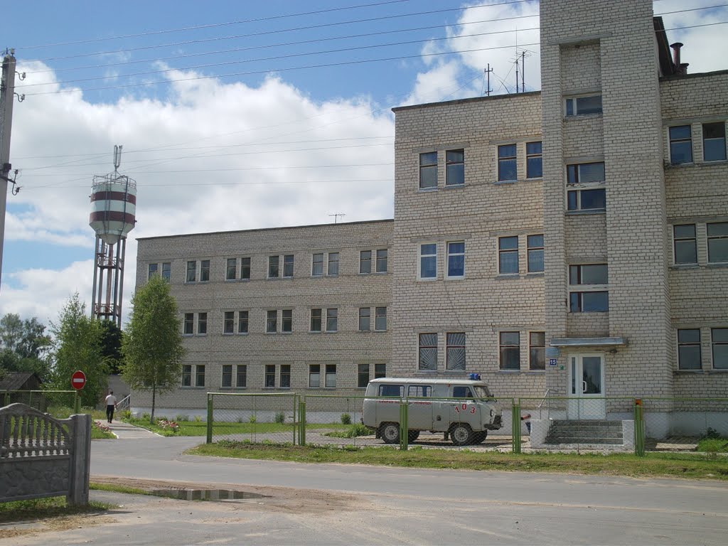 Zaludok