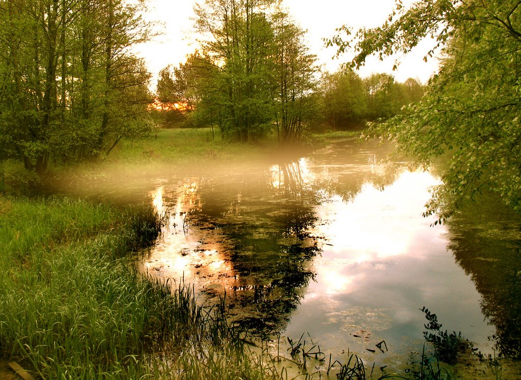 Byarozawka