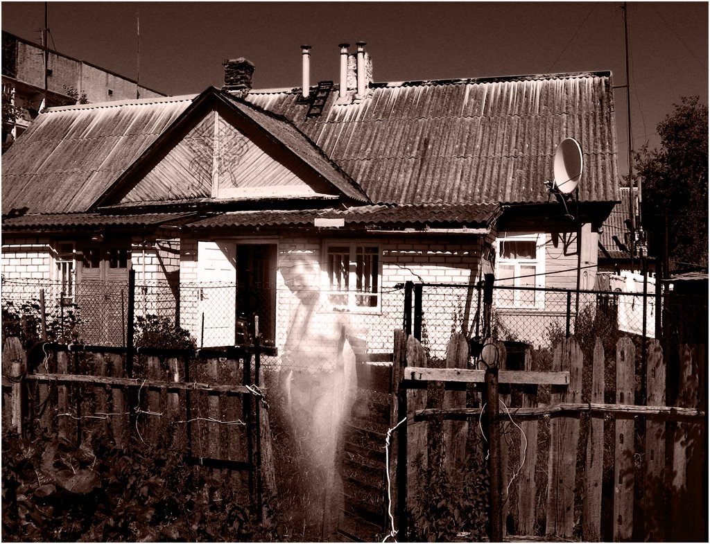 Спирит оф хаузе каннибале