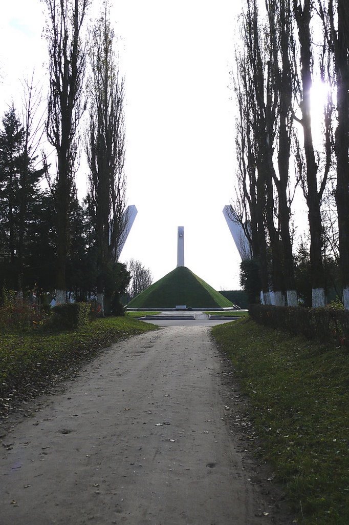 Курган
