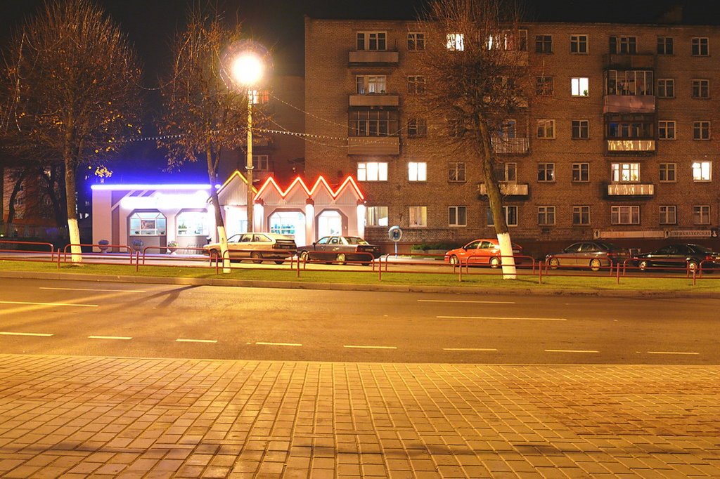 Ленинская ночью