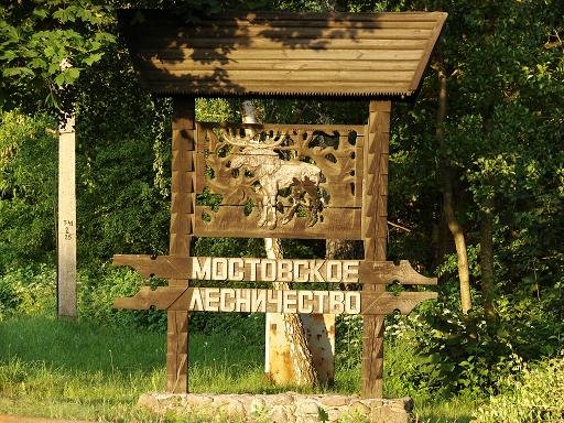 Way to Neman and dendropark