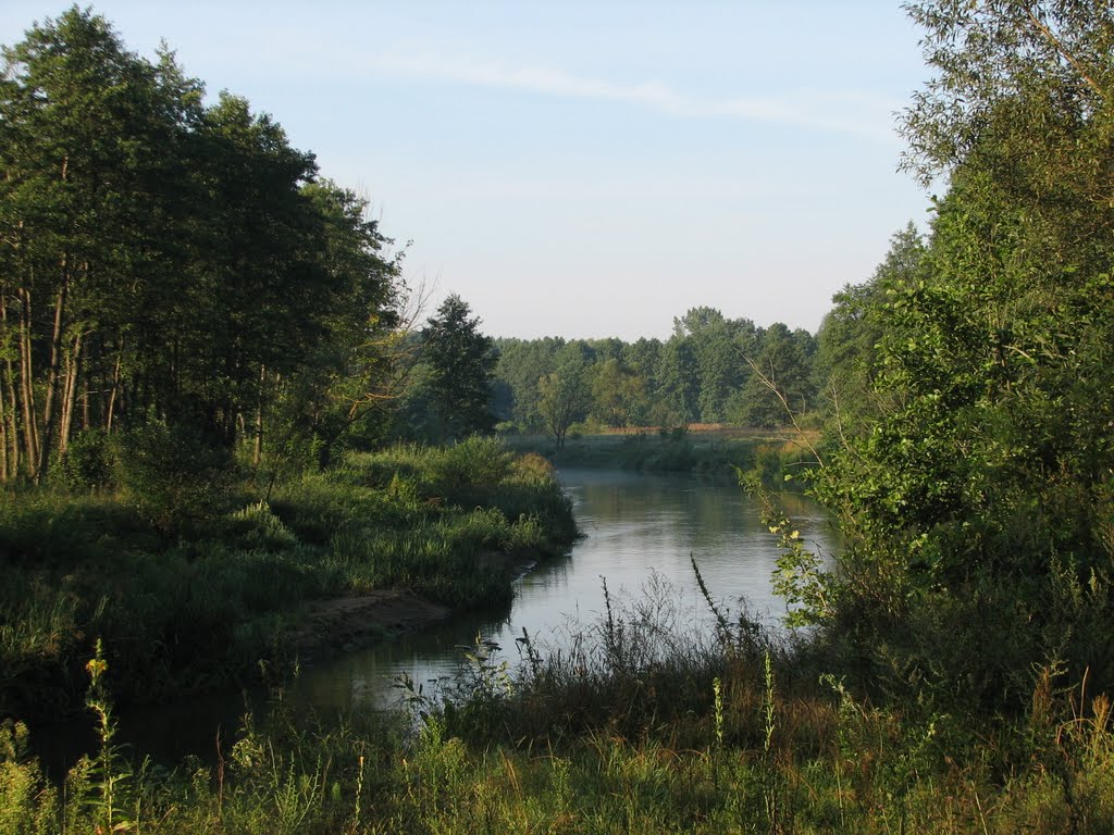 Река Зельвянка
