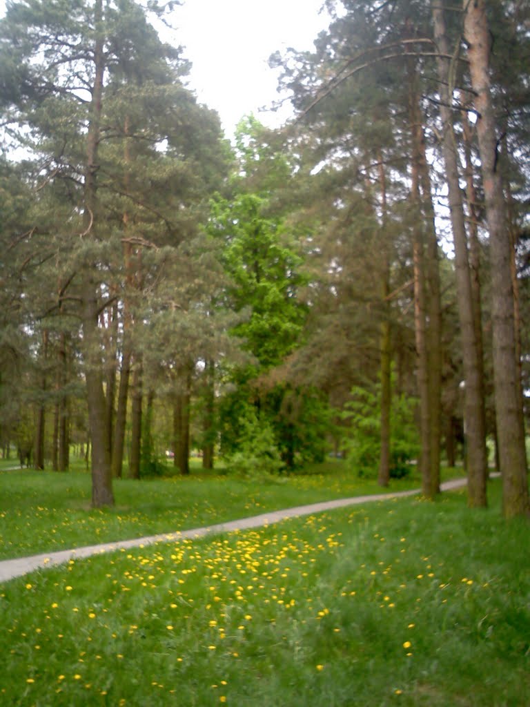 парк в мостах