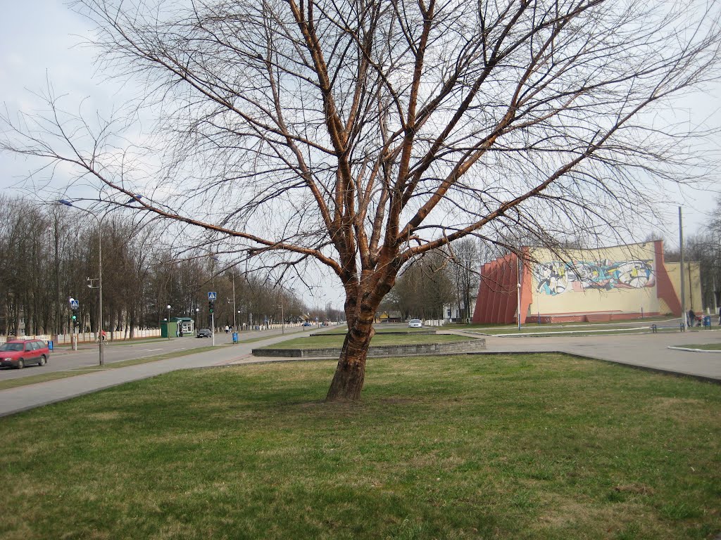 Жёлтое дерево