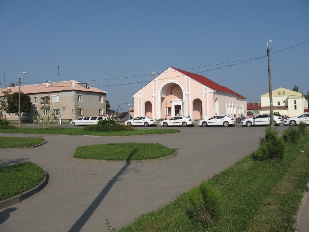 весільна процесія біля ЗАГСу ♦ a wedding cavalcade