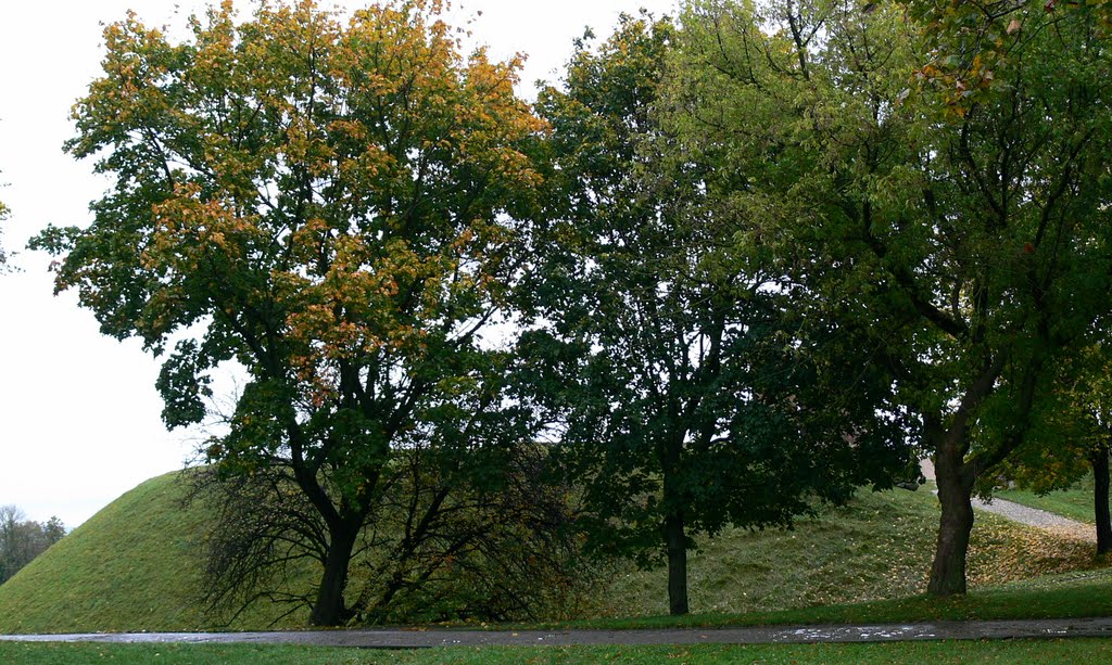 View from castles  mound
