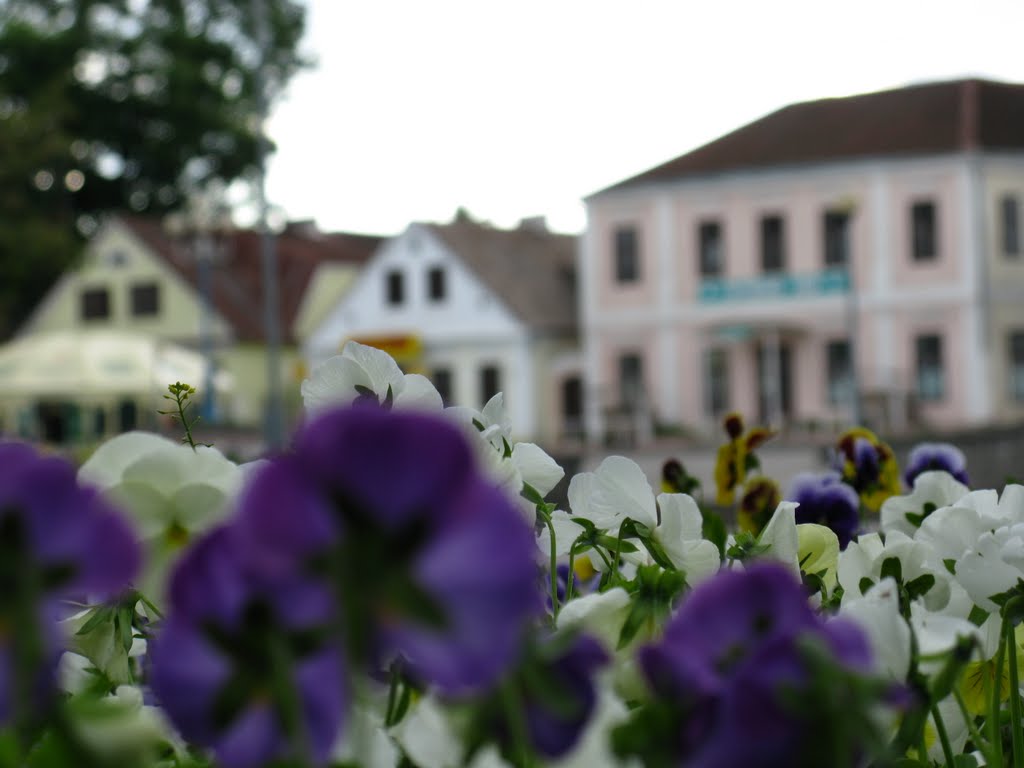 in the center of Navahrudak
