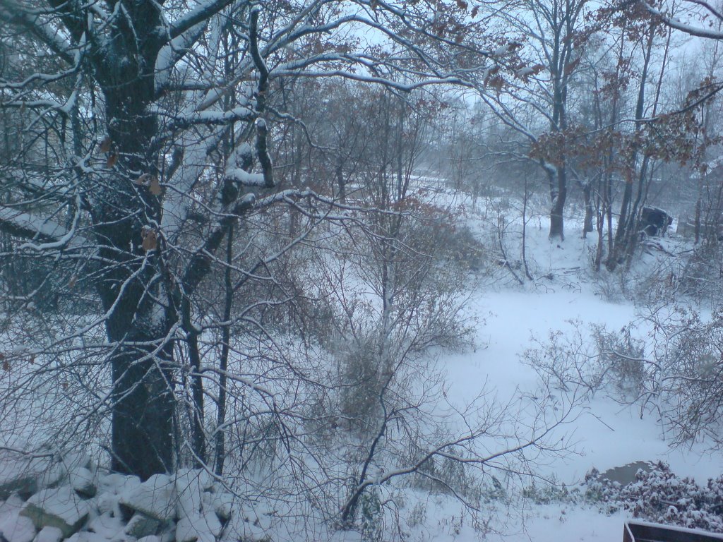 Зима в Островце