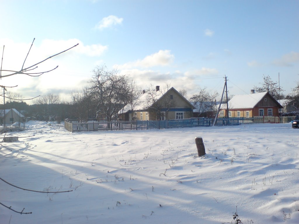 Дом Витковских