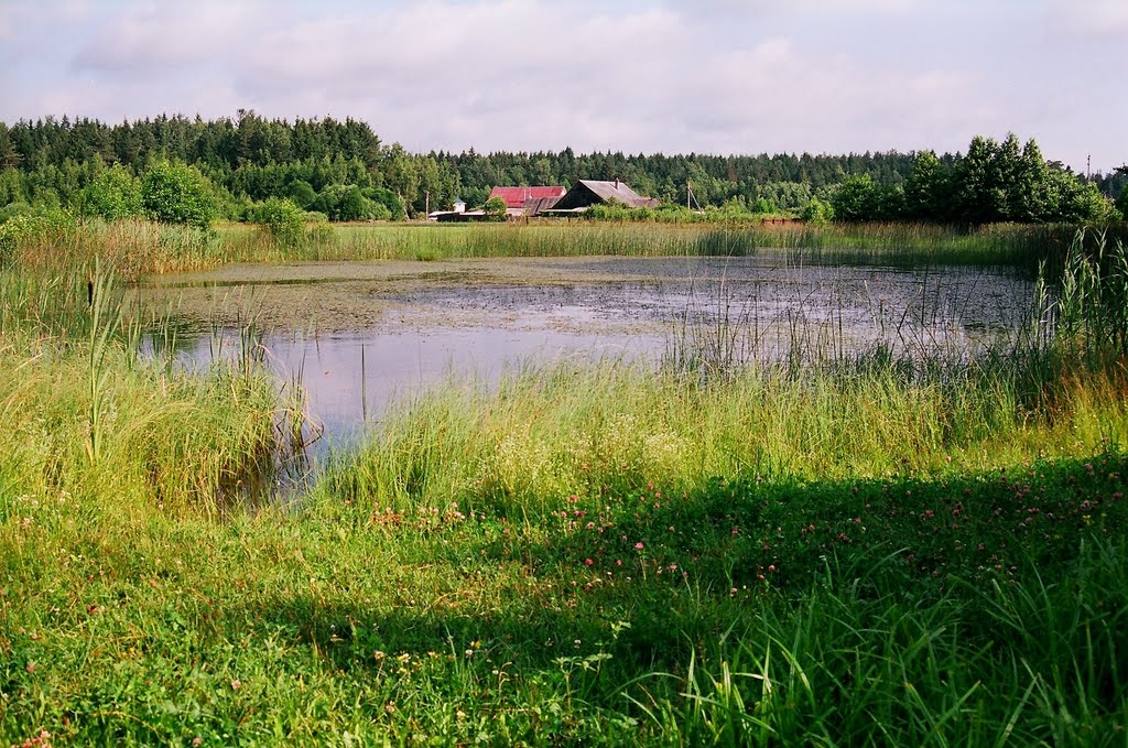 Пруд на пресечении ул. Ленинская и Былины (Pond on the Leninskaja st. and Byliny st. crossing)