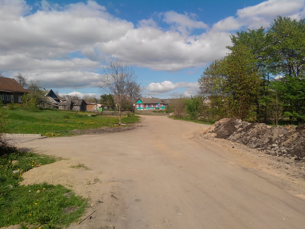 ул.Голеса
