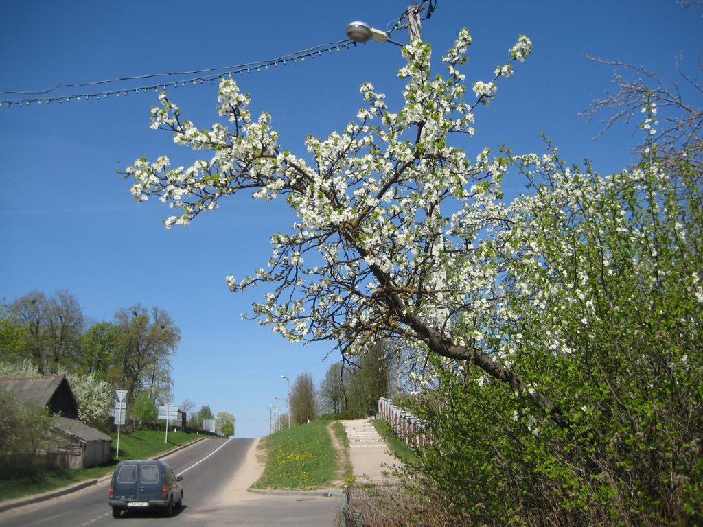 Весна