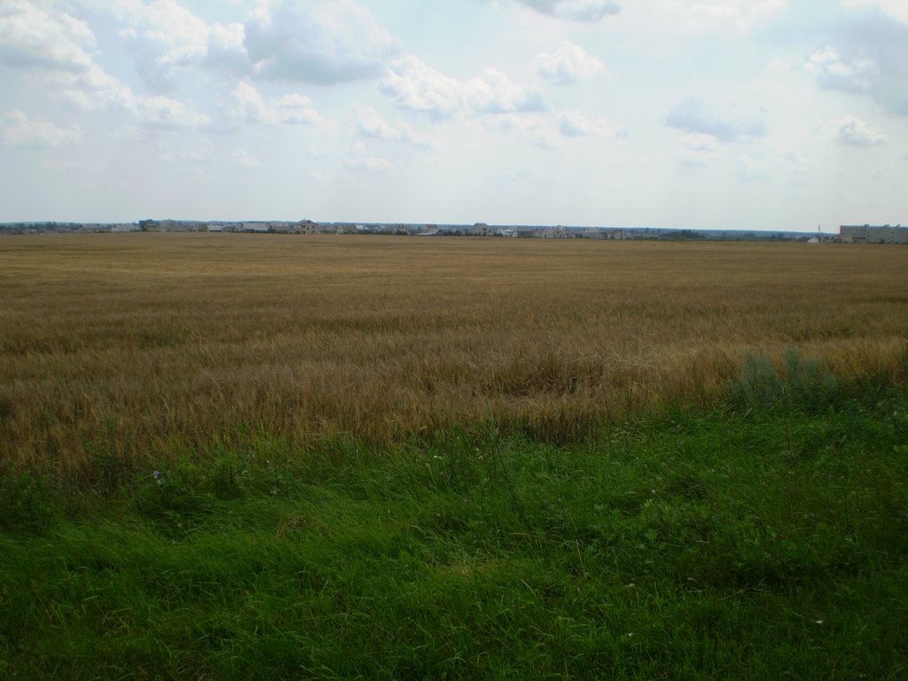 Поле рядом с городом Свислочь